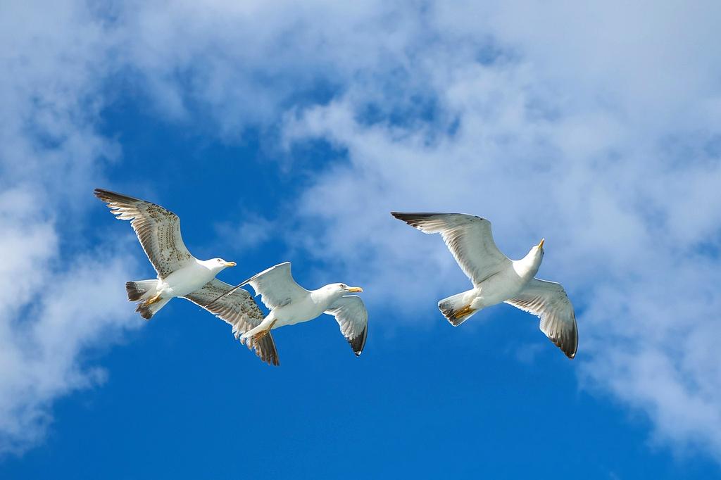 Cloud migration process with servers transitioning to cloud